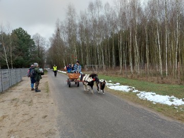 Ptakoliczenie’ 2023 w Budach Kałkach, pod egidą Jemiołuszki, 